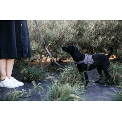 Harnas voor honden Body Safe Wool Kentucky Grijs Harnas voor honden Body Safe Wool Kentucky Grijs