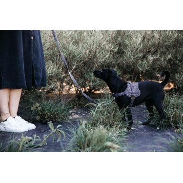 Harnas voor honden Body Safe Wool Kentucky Grijs Harnas voor honden Body Safe Wool Kentucky Grijs