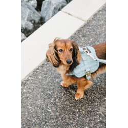 Harnas voor honden Body Safe Wool Kentucky Lichtblauw
