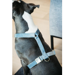 Harnais pour chien Velvet Loop Kentucky Bleu clair
