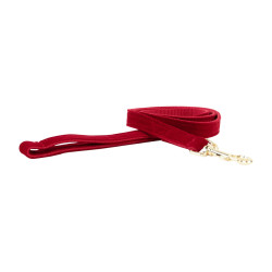 Laisse pour chien Corduroy Kentucky Rouge