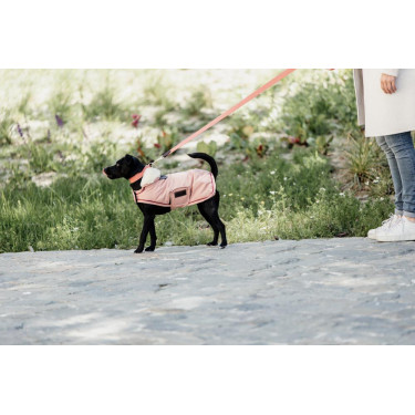 Laisse pour chien Jacquard Kentucky Terracotta Orange