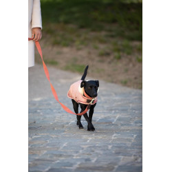 Laisse pour chien Jacquard Kentucky Terracotta Orange