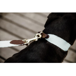Laisse pour chien Jacquard Kentucky Bleu clair