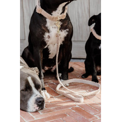 Hondenriem Teddy Fleece 120 cm Kentucky Hondenriem Teddy Fleece 120 cm Kentucky