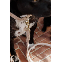 Hondenriem Teddy Fleece 120 cm Kentucky Hondenriem Teddy Fleece 120 cm Kentucky