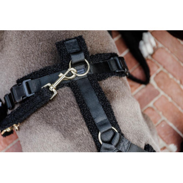 Laisse pour chien Teddy Fleece 120 cm Kentucky Noir