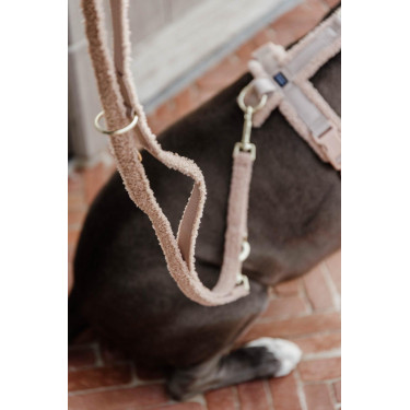 Laisse pour chien Teddy Fleece 200 cm Kentucky Beige