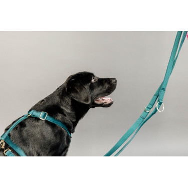 Laisse pour chien Velvet 200 cm Kentucky Emeraude Vert