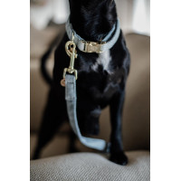 Wool Long Laisse voor hond Kentucky Lichtblauw