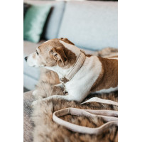 Laisse pour chien Wool Longue Kentucky Bleu clair