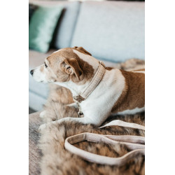 Laisse pour chien Wool Longue Kentucky Beige