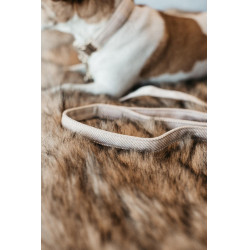 Laisse pour chien Wool Longue Kentucky Beige