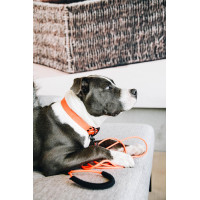 Laat Soft Rubber Kentucky Neon oranje