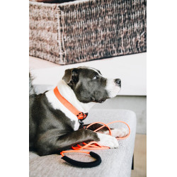 Laat Soft Rubber Kentucky Neon oranje