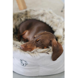 Hondenmand Cave Kentucky Bruin