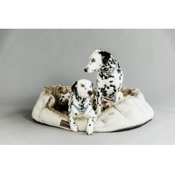 Lit pour chien Cave Kentucky Brun Marron