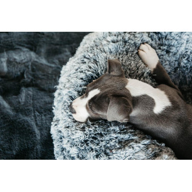 Lit pour chien confort Donut Kentucky Lit pour chien confort Donut Kentucky