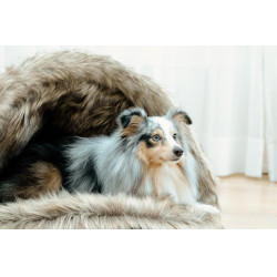 Hondenbed Igloo Kentucky Bruin Hondenbed Igloo Kentucky Bruin