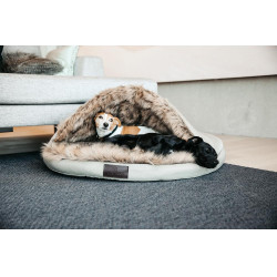 Lit pour chien Igloo Kentucky Brun Lit pour chien Igloo Kentucky Brun