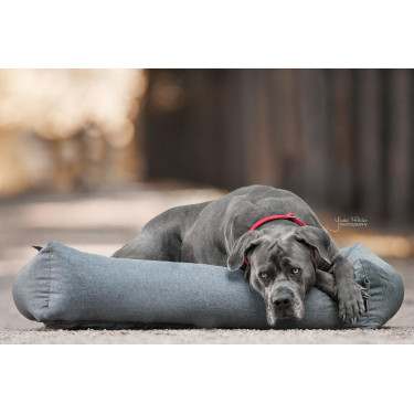 Lit pour chien Soft Sleep Kentucky Lit pour chien Soft Sleep Kentucky