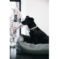 Lit pour chien Soft Sleep Kentucky Gris Lit pour chien Soft Sleep Kentucky Gris