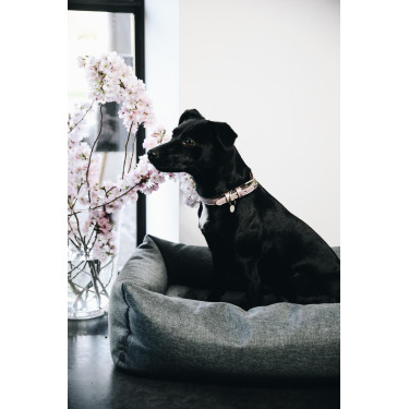 Lit pour chien Soft Sleep Kentucky Lit pour chien Soft Sleep Kentucky