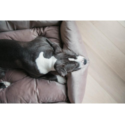 Lit pour chien Velvet Kentucky Beige