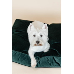 Oreiller pour chien Velvet Kentucky Vert sapin