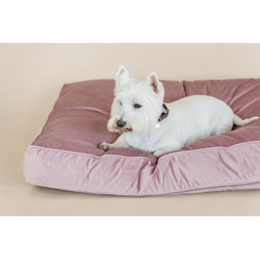 Oreiller pour chien Velvet Kentucky