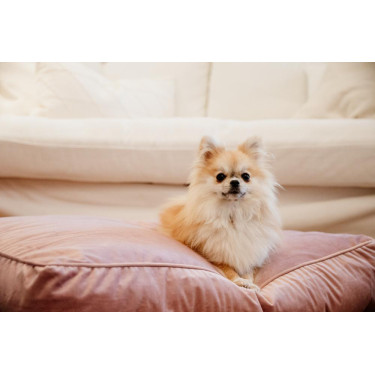 Oreiller pour chien Velvet Kentucky Oreiller pour chien Velvet Kentucky