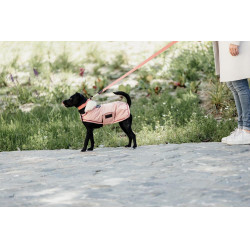 Manteau pour chien Imperméable 160g Kentucky Corail Rouge Manteau pour chien Imperméable 160g Kentucky Corail Rouge