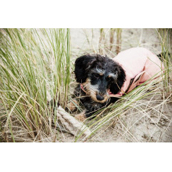 Manteau pour chien Imperméable 160g Kentucky Corail Rouge Manteau pour chien Imperméable 160g Kentucky Corail Rouge