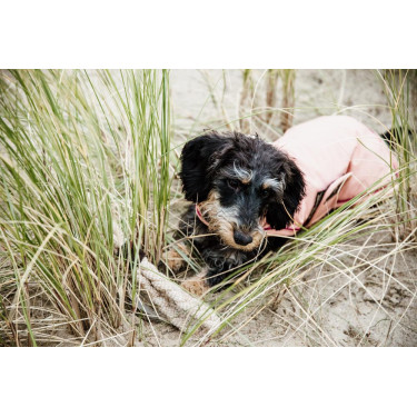 Manteau pour chien Imperméable 160g Kentucky Manteau pour chien Imperméable 160g Kentucky