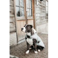 Manteau pour chien Imperméable 160g Kentucky Corail Rouge Manteau pour chien Imperméable 160g Kentucky Corail Rouge