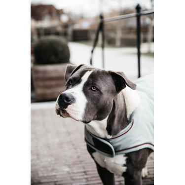 Manteau pour chien Imperméable 160g Kentucky Bleu poudreux