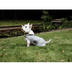 Manteau pour chien Imperméable 160g Kentucky Bleu poudreux