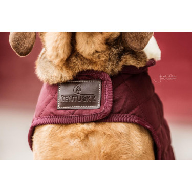 Manteau pour chien Original Kentucky Bordeaux