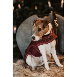 Manteau pour chien Original Kentucky Bordeaux