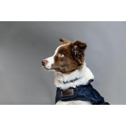 Manteau pour chien Original Kentucky Navy Bleu marine Manteau pour chien Original Kentucky Navy Bleu marine