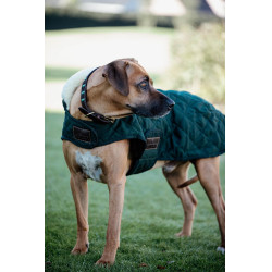Manteau pour chien Original Kentucky