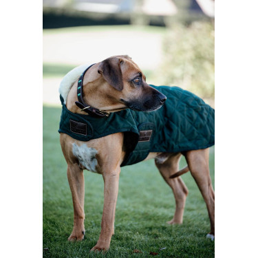 Manteau pour chien Original Kentucky