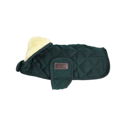 Manteau pour chien Original Kentucky Vert foncé