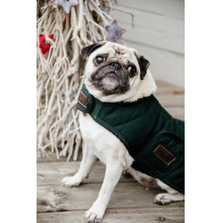 Manteau pour chien Original Kentucky Vert foncé