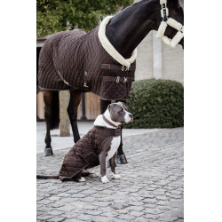 Manteau pour chien Original Kentucky Brun Marron