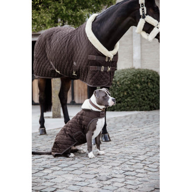 Manteau pour chien Original Kentucky Brun Marron