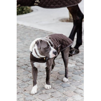 Manteau pour chien Original Kentucky Bordeaux