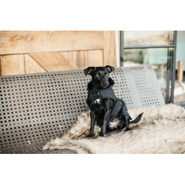 Manteau pour chien Original Kentucky Noir/noir Manteau pour chien Original Kentucky Noir/noir