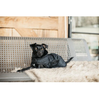 Manteau pour chien Original Kentucky Noir/noir Manteau pour chien Original Kentucky Noir/noir