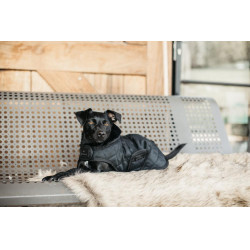 Manteau pour chien Original Kentucky Noir/noir Manteau pour chien Original Kentucky Noir/noir